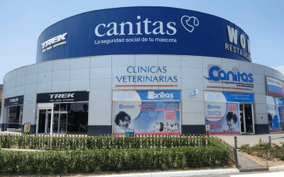 Los beneficios de renovar tu marca en septiembre: Impulsa tu imagen empresarial