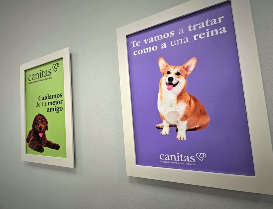 rotulacion integral sevilla